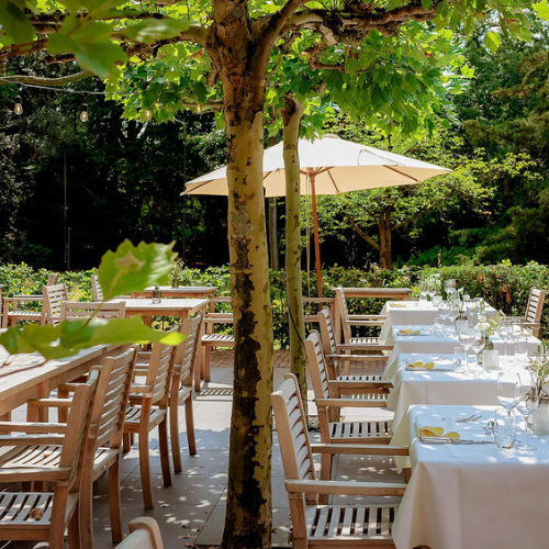 Terras